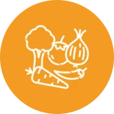 Verduras frescas ilustradas